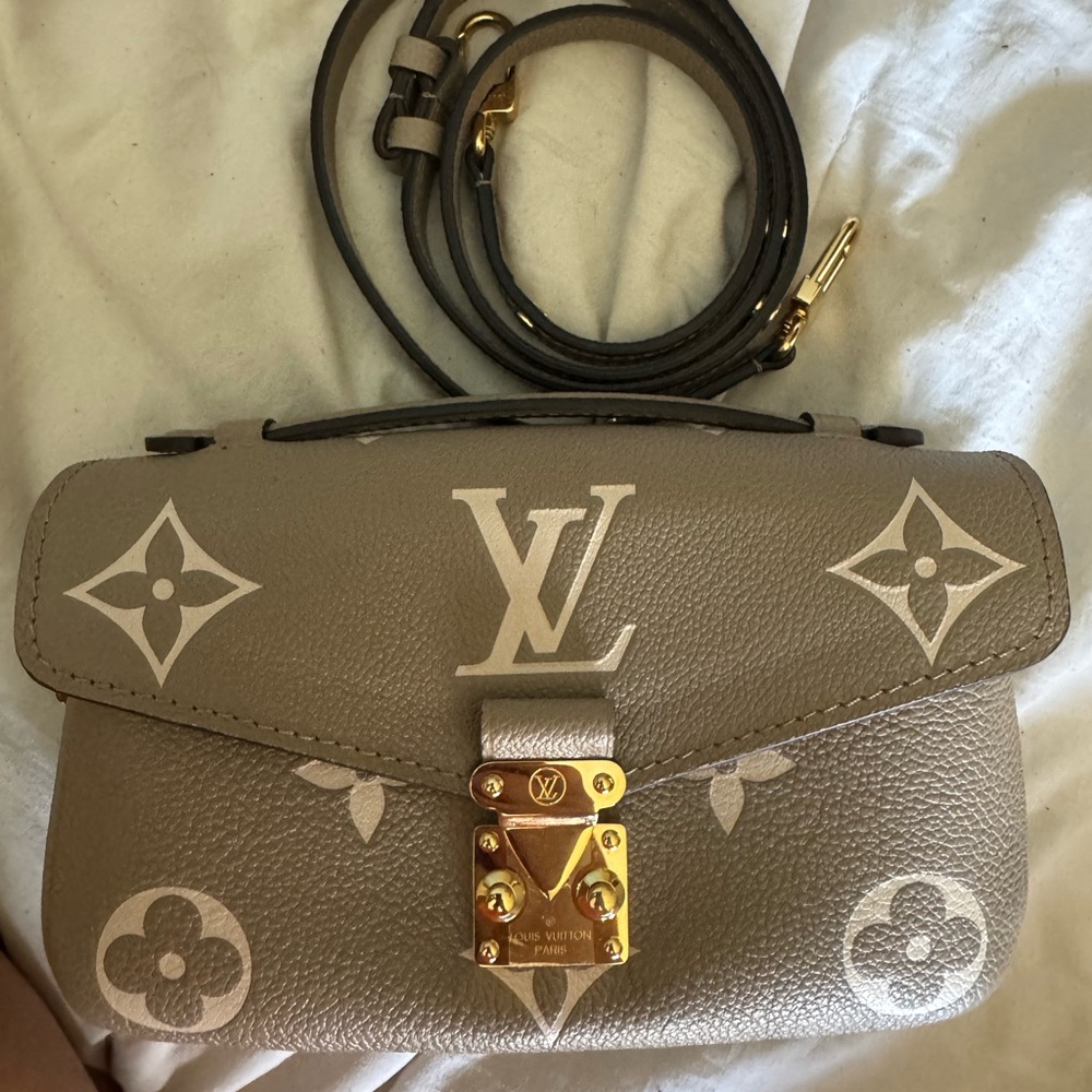 Louis Vuitton Gray Mini Bag Iconic Monogram
